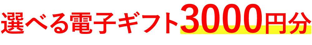 選べる電子ギフト3000円分
