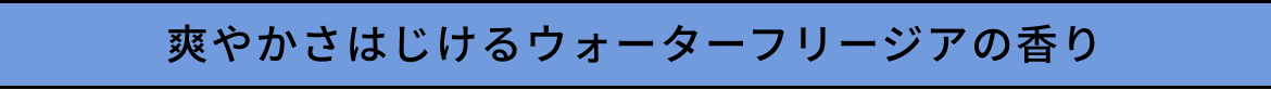 爽やかさはじけるウォーターフリージアの香り